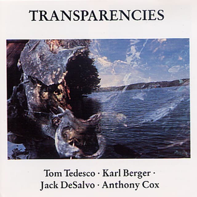 Album cover art for Transparencies