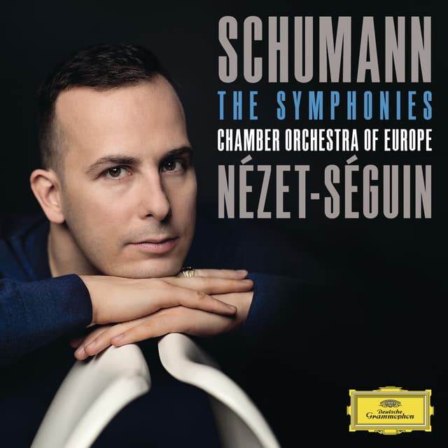Album cover art for Schumann: The Symphonies