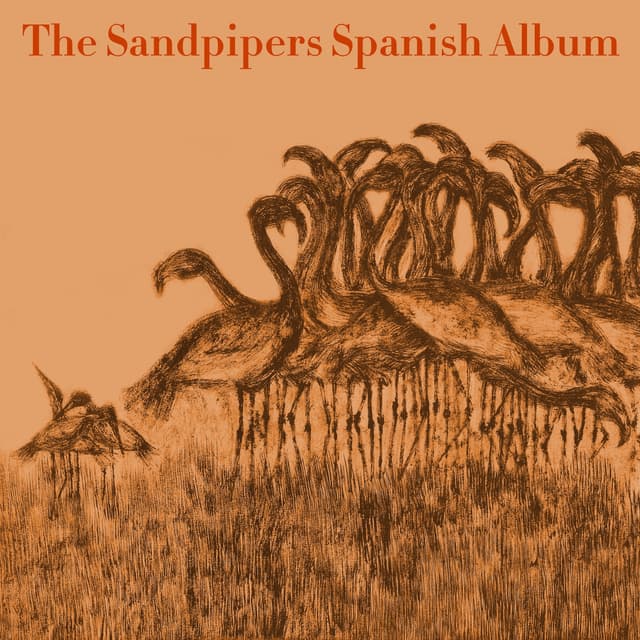 Album cover art for Second Spanish Album