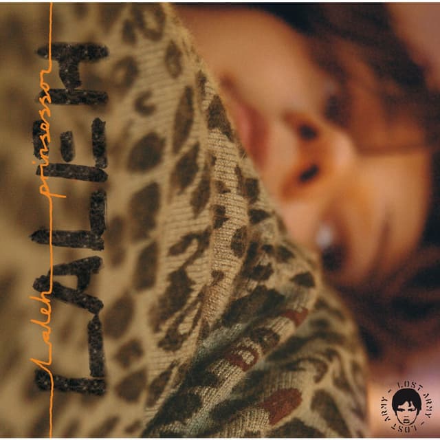 Album cover art for Prinsessor