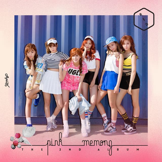 Album cover art for Pink Memory