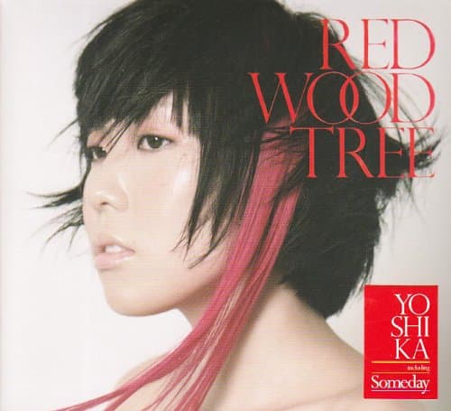 Album cover art for REDWOOD TREE