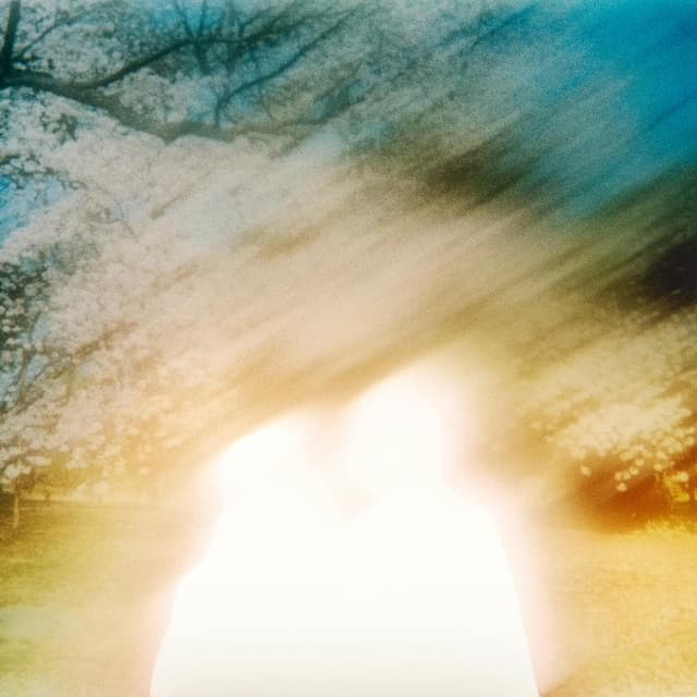 Album cover art for 1991