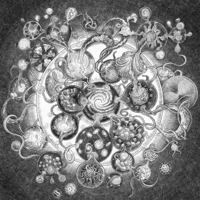 Album cover art for Long Distance Calling