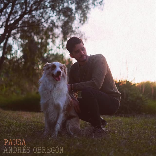 Album cover art for Pausa