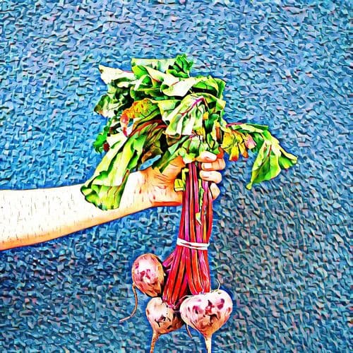 Album cover art for Funny Mankind