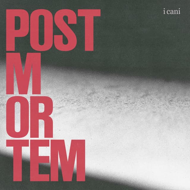 Album cover art for post mortem