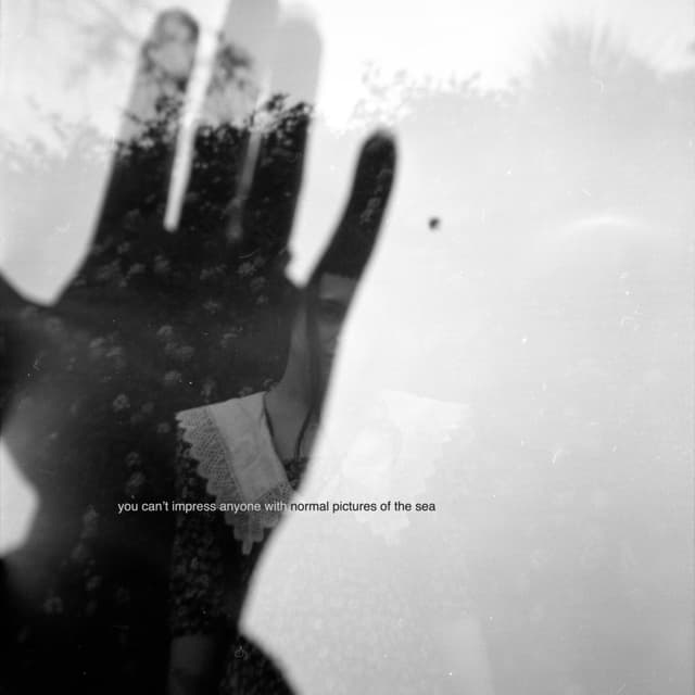 Album cover art for You Can't Impress Anyone with Normal Pictures of the Sea