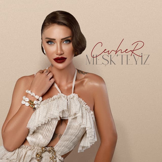 Album cover art for Meşkteyiz