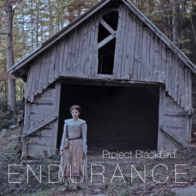 Album cover art for Endurance