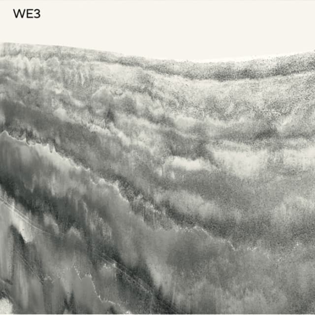 Album cover art for WE3