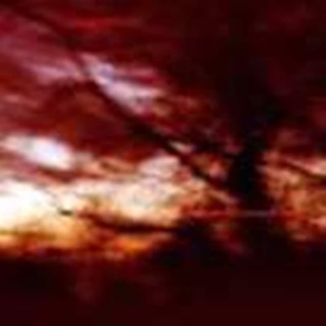 Album cover art for Ewige Blumenkraft