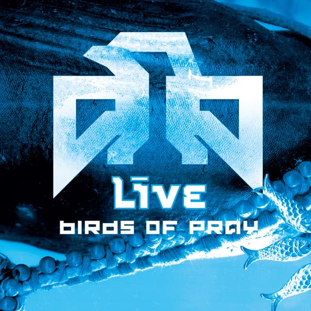 Album cover art for Birds of Pray