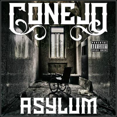 Album cover art for Asylum