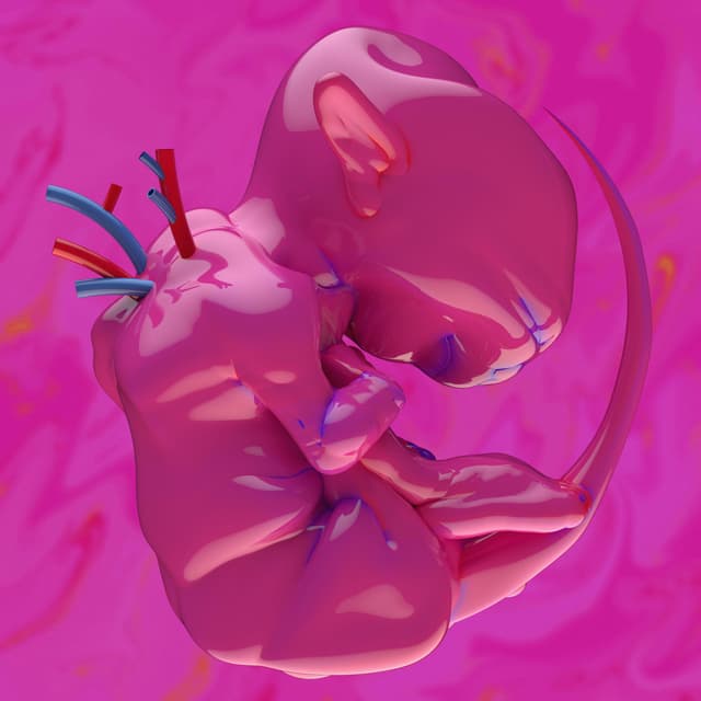 Album cover art for ekkolaptómenos