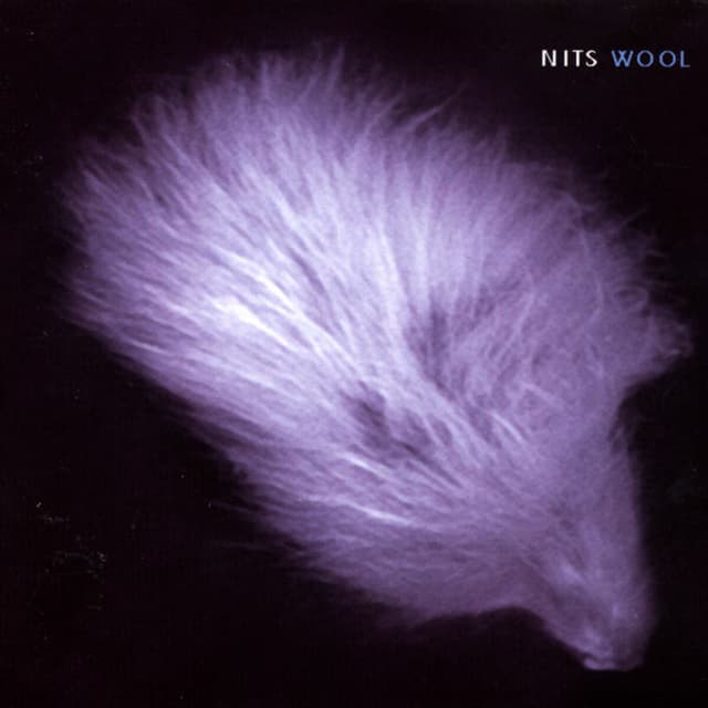 Album cover art for Wool