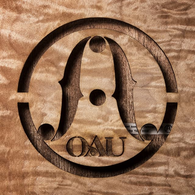Album cover art for OAU