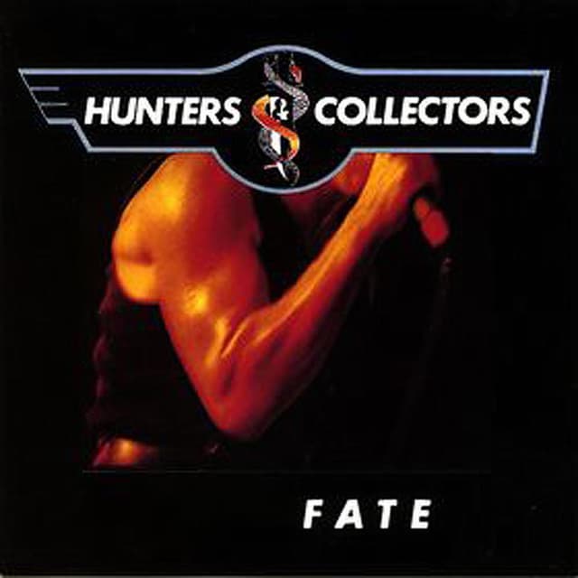 Album cover art for Fate