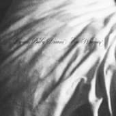 Album cover art for Dream Baby Dream