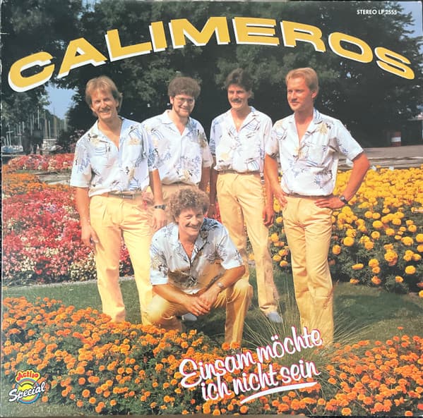 Album cover art for Einsam Möchte Ich Nicht Sein