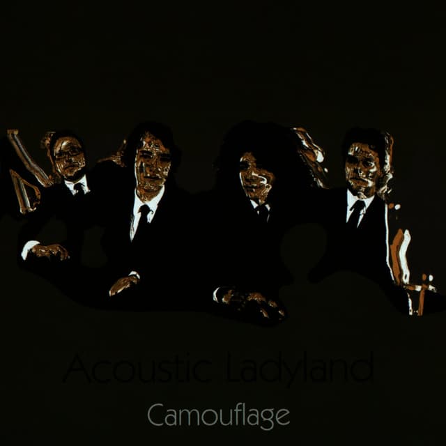 Album cover art for Camouflage
