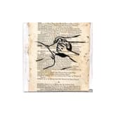 Album cover art for The Rhythm & the Cadence / Sleep Walker