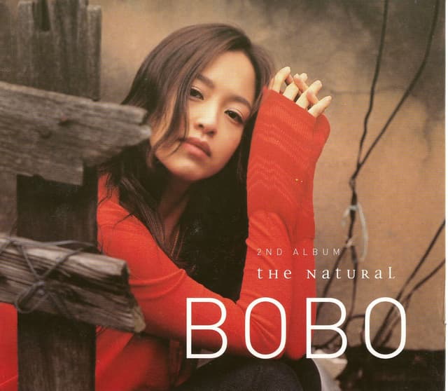 Album cover art for The Natural