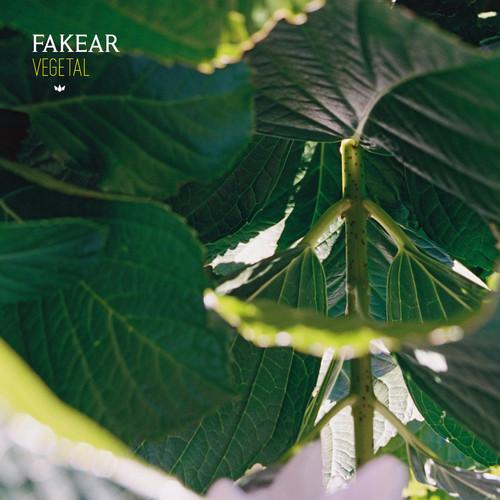 Album cover art for Vegetal