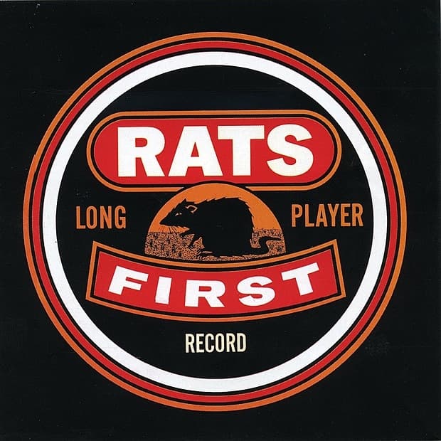 Album cover art for First Long Player Record