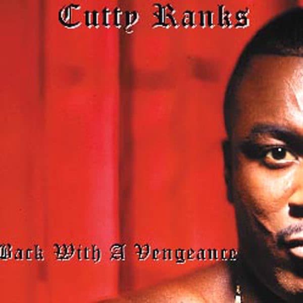 Album cover art for Back With a Vengeance