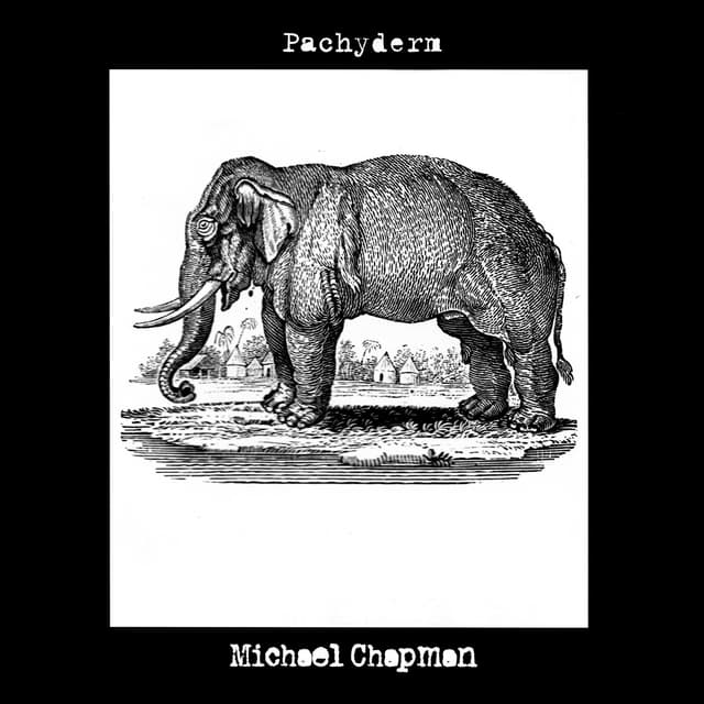 Album cover art for Pachyderm