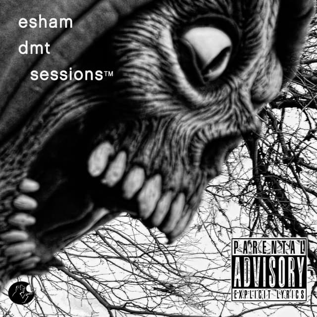 Album cover art for DMT Sessions