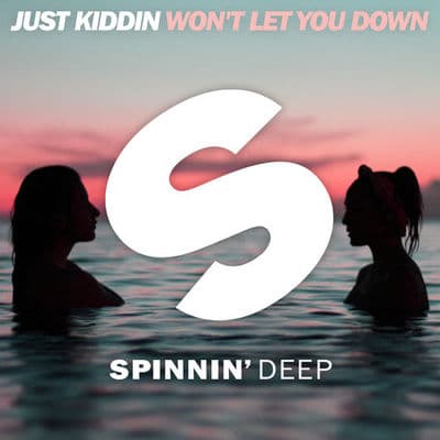 Album cover art for Won't Let You Down