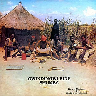 Album cover art for Gwindingwi Rine Shumba