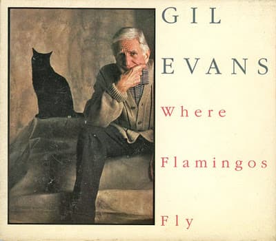 Album cover art for Where Flamingos Fly