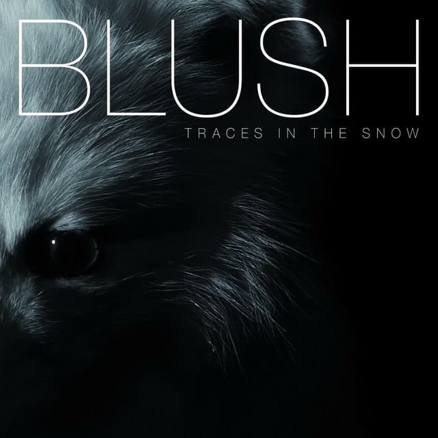 Album cover art for Traces In The Snow