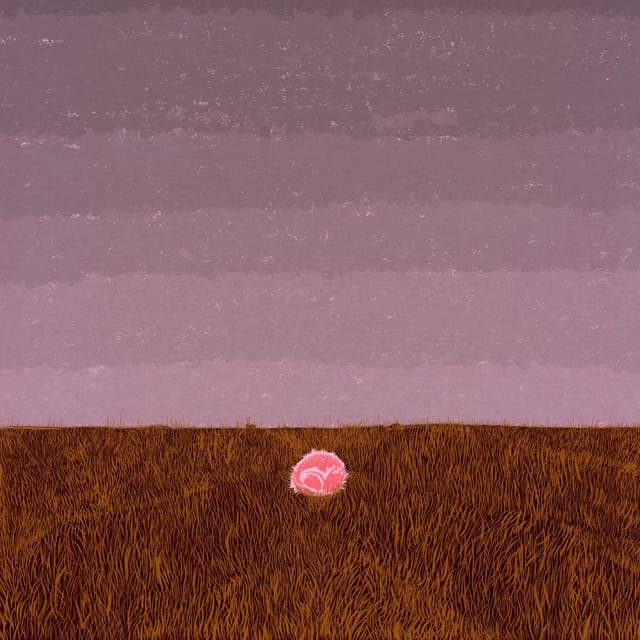 Album cover art for fawn