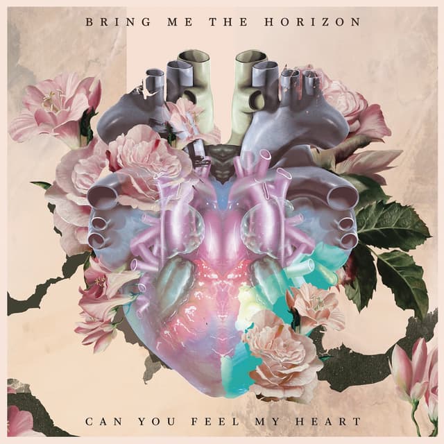 Album cover art for Can You Feel My Heart