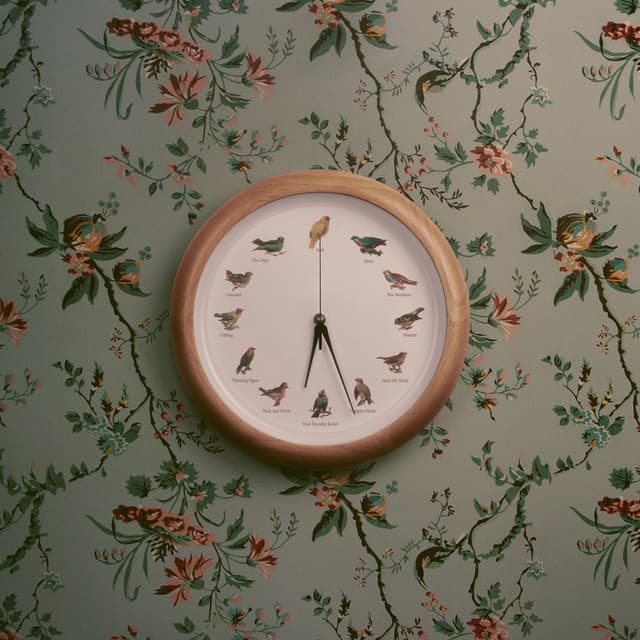 Album cover art for Heal My Head