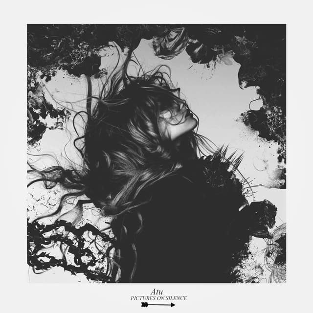 Album cover art for Pictures on Silence