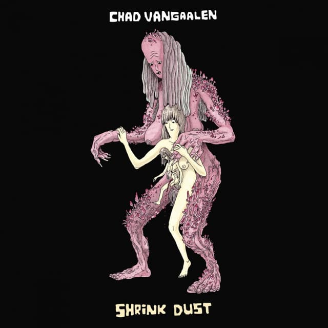 Album cover art for Shrink Dust