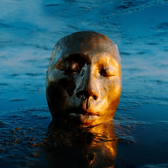 Album cover art for The Misfit