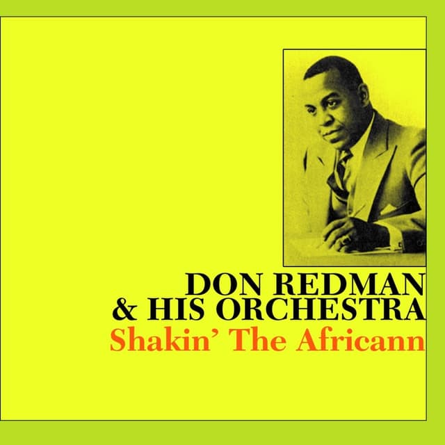 Album cover art for Shakin' The Africann