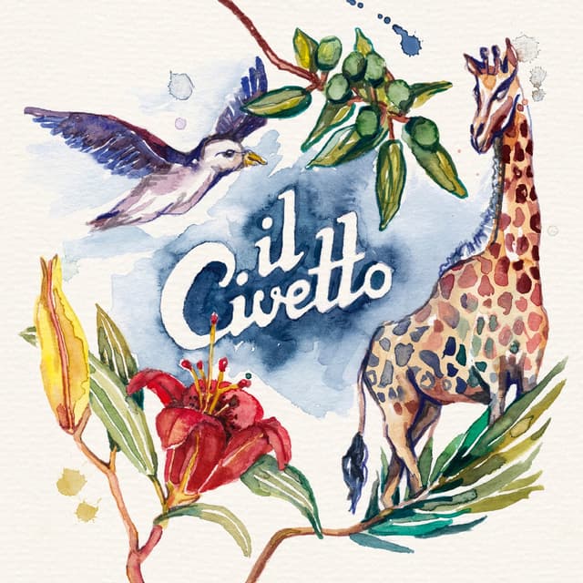 Album cover art for Il Civetto