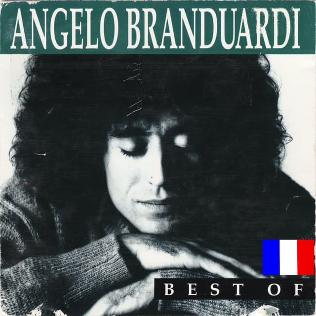Album cover art for Best Of (French Version)
