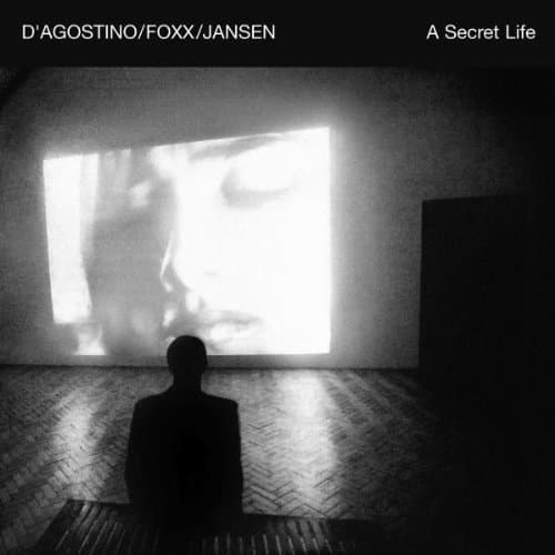 Album cover art for A Secret Life