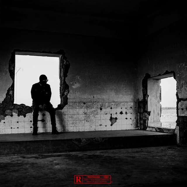 Album cover art for CAPHARNAÜM