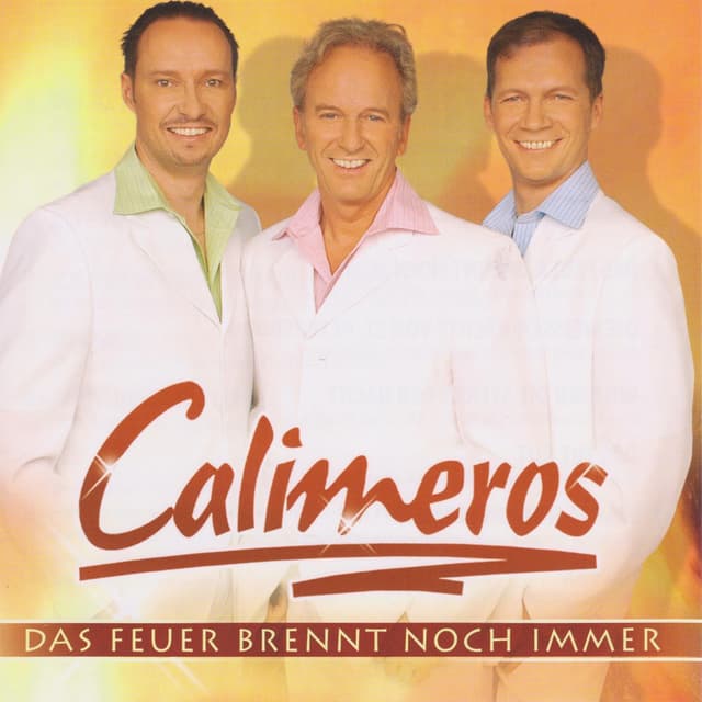 Album cover art for Das Feuer Brennt Noch Immer