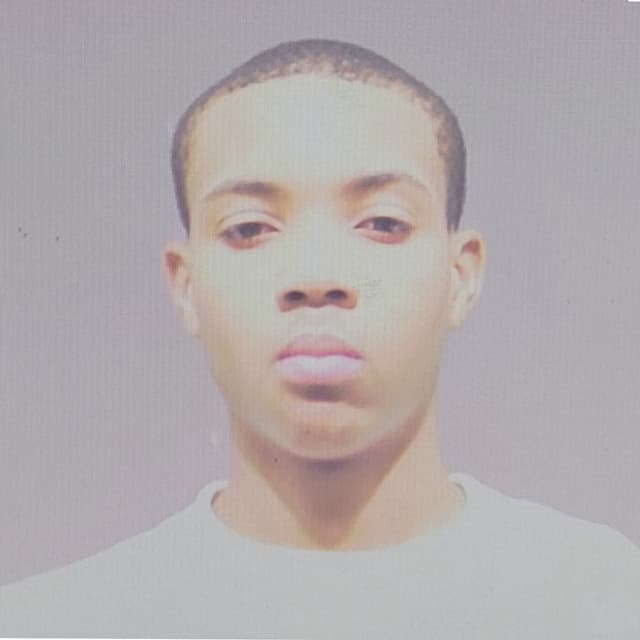Album cover art for Lil Herb