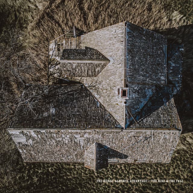 Album cover art for The Rise & the Fall